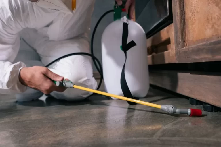 Bug Control Services in Bakersfield, CA