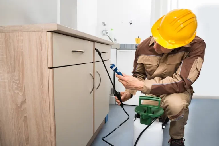 Pest Control Services in Bakersfield, CA